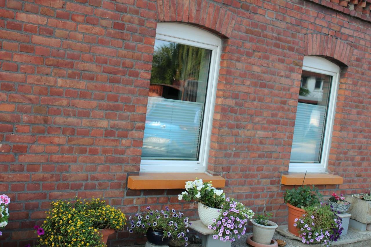 Apartment Hanske Isenbüttel Εξωτερικό φωτογραφία